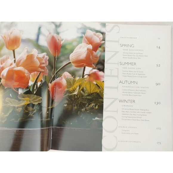 Window Boxes : Indoors and Out: 100 Projects and Planting Ideas. (117) - Picture 9 of 12